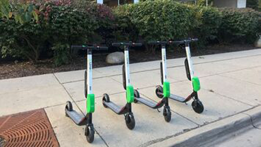 Lime scooter online price