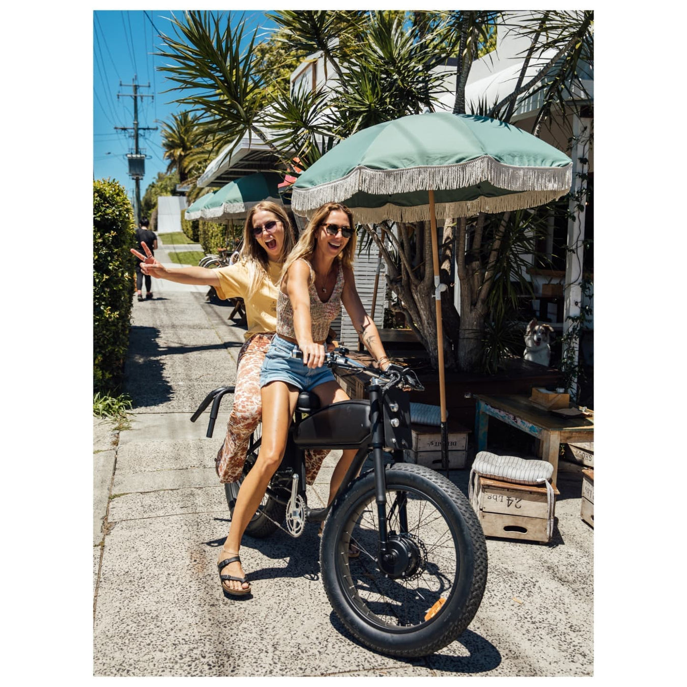 Shop eBikes