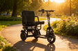 Electric wheelchair on a path in a park with flowers and trees in the background