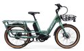 Wattwheels S-Cargo electric cargo bike in Fern Green